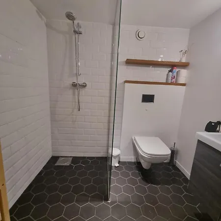 Two-level Loft In Swedish Style 7 Korter *