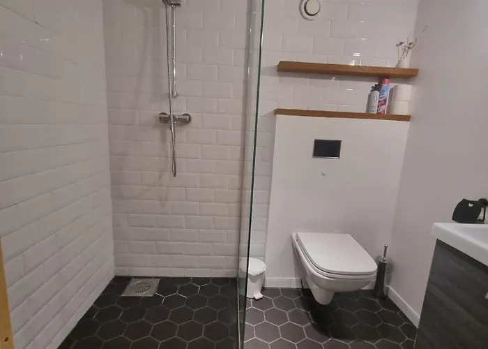 Two-level Loft In Swedish Style 7 Apartment *